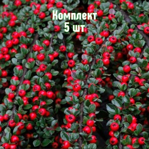 Комплект 5шт / Кизильник горизонтальный Урсинов